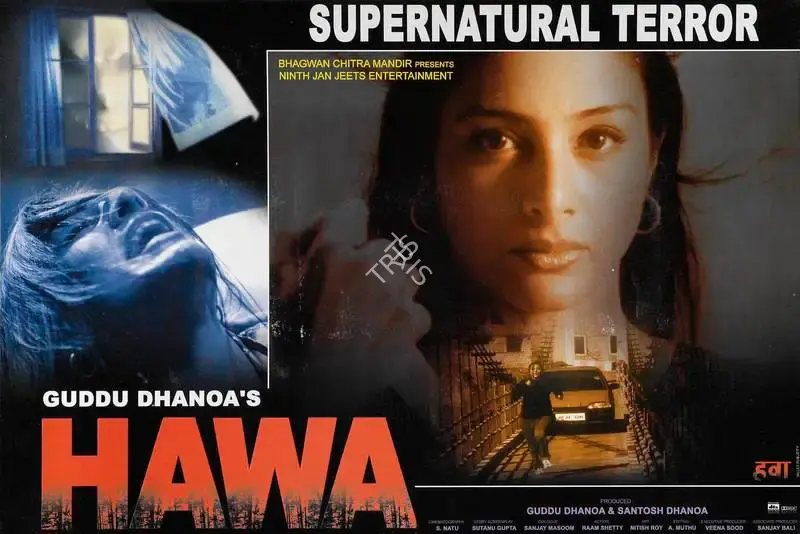 Guddu Dhanoa (Producer), Hawa, 2003, Lobby Card