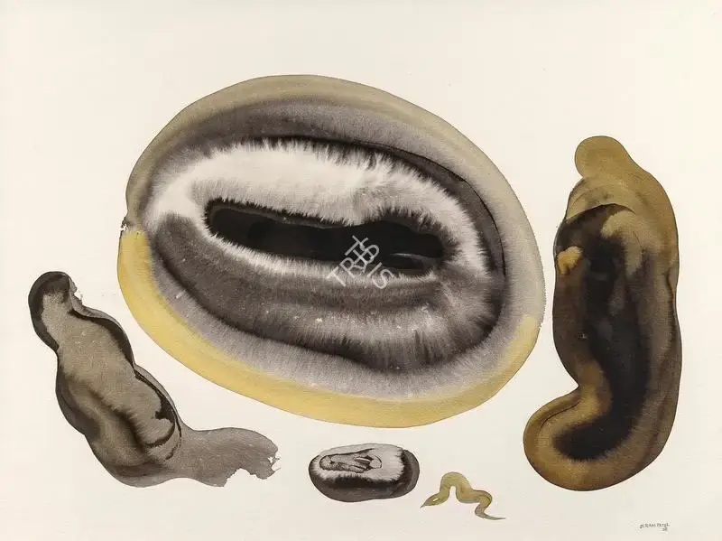 Jeram Patel (Artist), Untitled, 2006, Painting