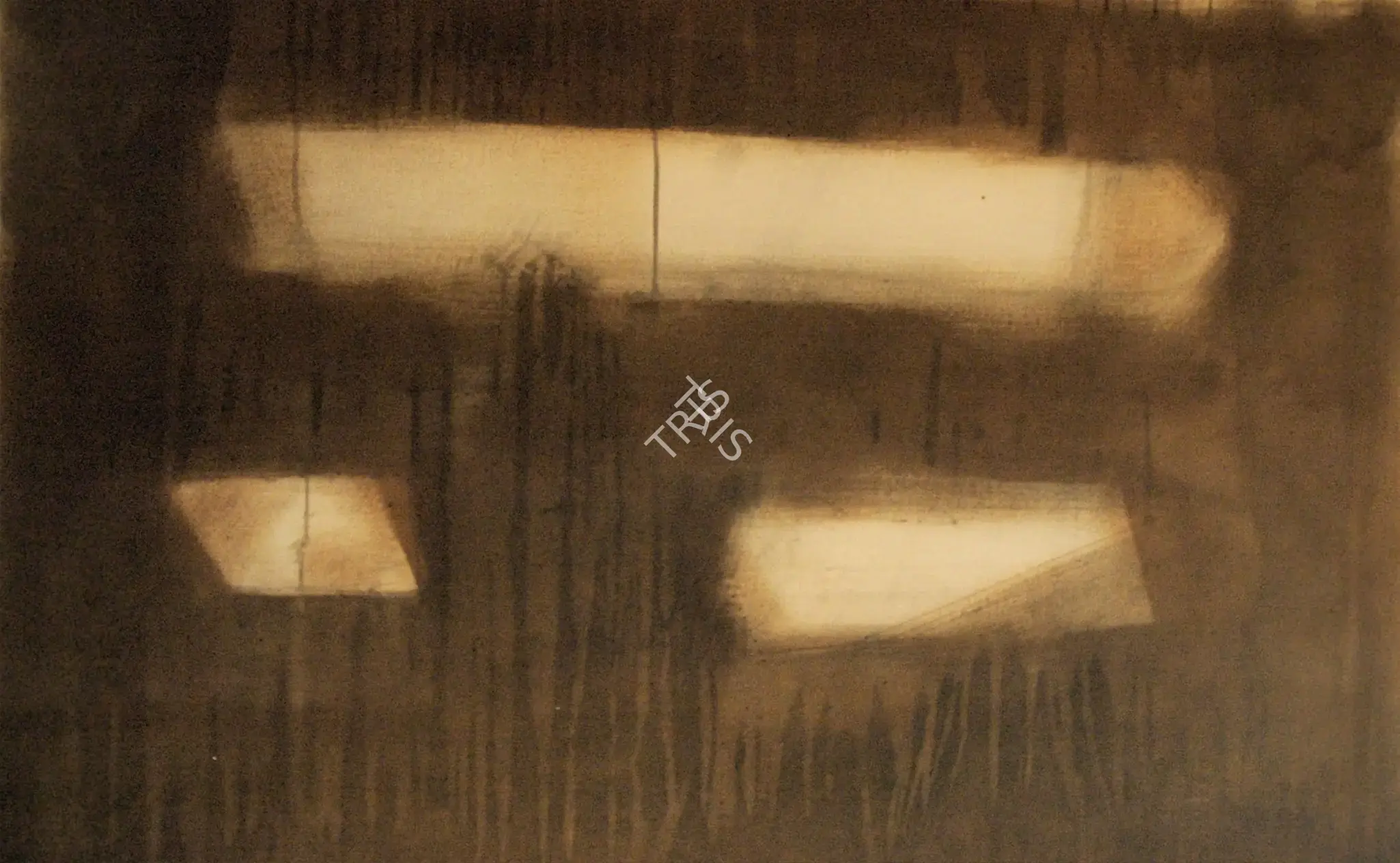 Manish Pushkale (Artist), Sammosarana I, 2005, Painting