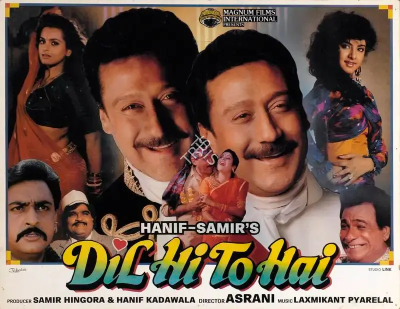 Samir Hingora (Producer), Dil Hi To Hai, 1993, Lobby Card