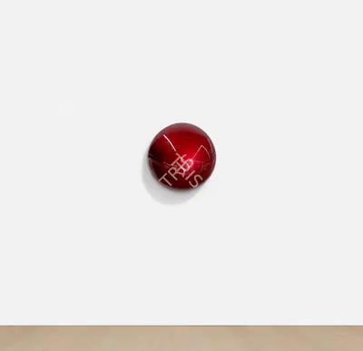 Anish Kapoor (Artist), Untitled, 2010, Installation