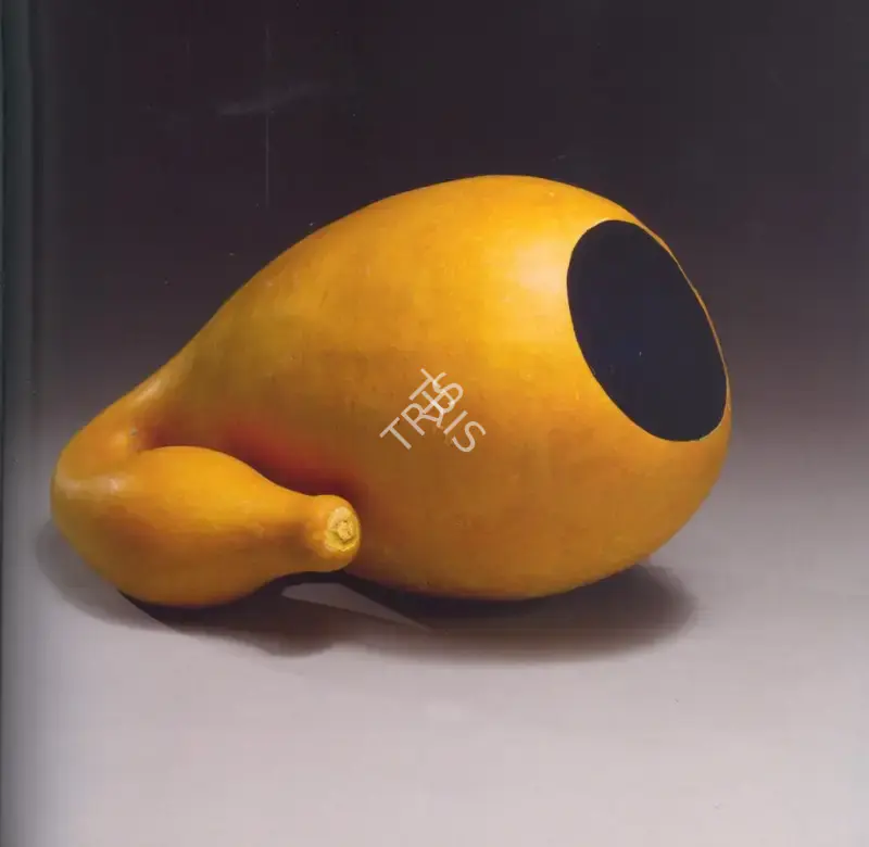 Anish Kapoor (Artist), Untitled, 1995, Sculpture