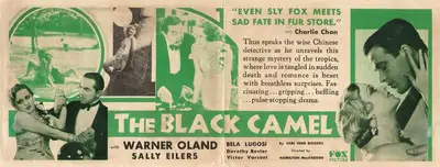 Hamilton MacFadden (Producer), The Black Camel, 1931, Handbill