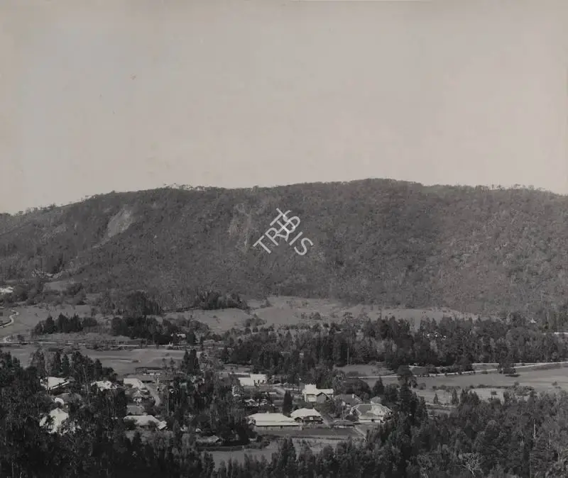 Unknown (Photographer), Newralliya, 1901, Antiquarian Photograph