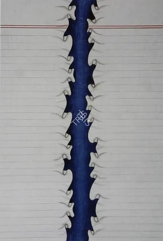 Aisha Khalid (Artist), Barbed, 2006, Painting