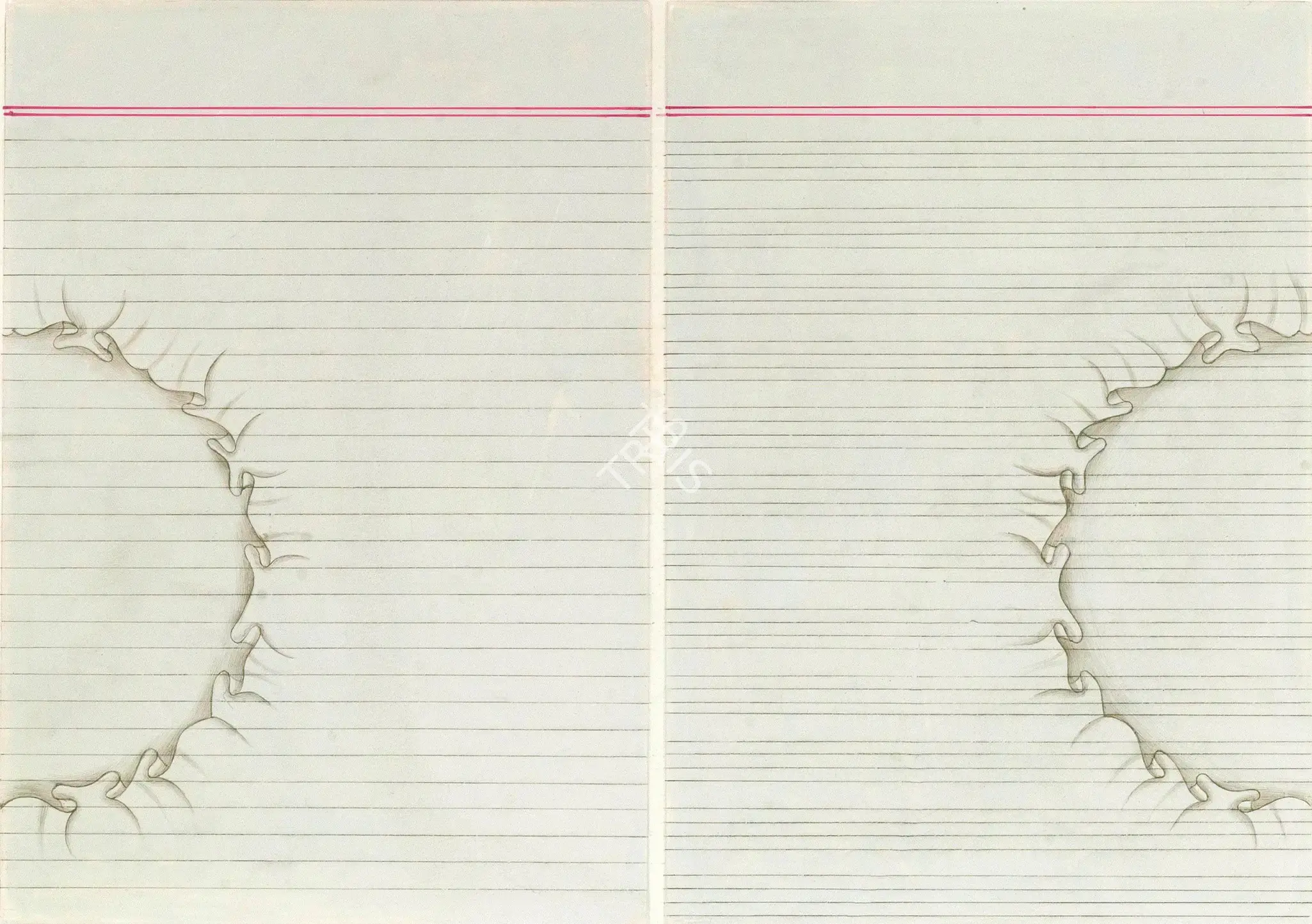 Aisha Khalid (Artist), Divided, 2006, Painting