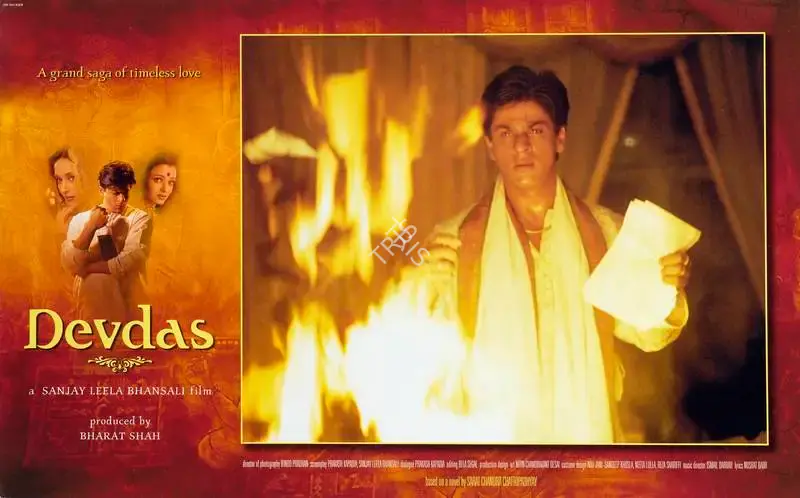Binod Pradhan (Cinematographer), Devdas, 2002, Lobby Card