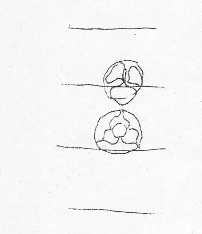 K.V. Haridasan (Artist), Drawing, Drawing