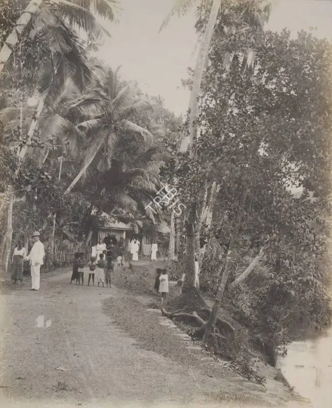Unknown (Photographer), Untitled, 1901, Antiquarian Photograph
