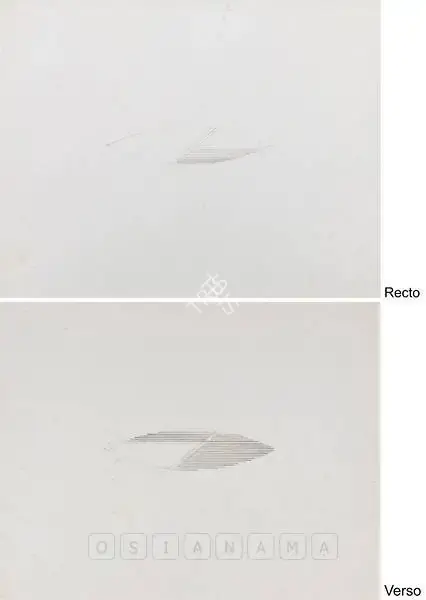 Nasreen Mohamedi (Artist), Untitled (Double-Sided), Drawing