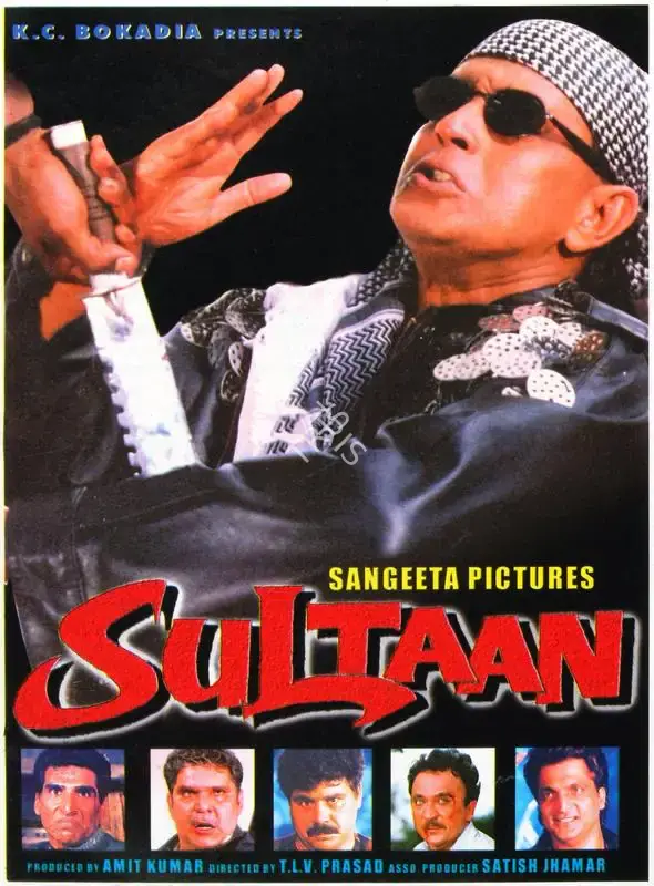 Amit Kumar (Producer), Sultaan, 2000, Song-Synopsis Booklet