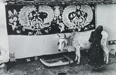 Jyoti Bhatt (Photographer), Woman Decorating Ox, Rajasthan, 1988, Contemporary Photograph