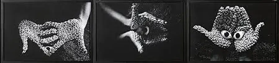 Anita Dube (Artist), Offering (Triptych), 2000, Print