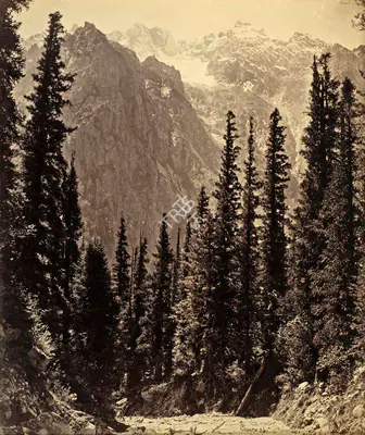 Samuel Bourne (Photographer), View in the Wanga Valley, 1866, Antiquarian Photograph