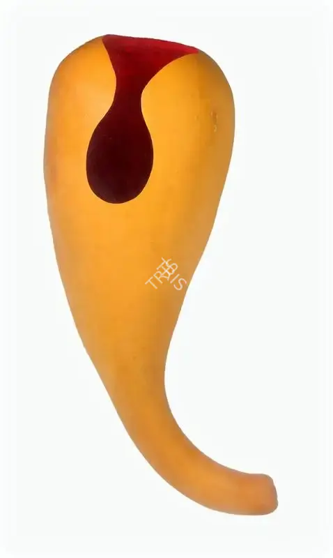 Kapoor, Anish (Artist). Untitled, c.1995 | Sculpture, Pr.Onl/25.10.18, 2018 · Prinseps