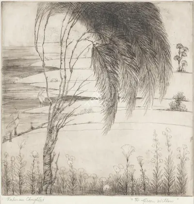 M.A.R. Chughtai (Artist), The Green Willow, Graphic Art