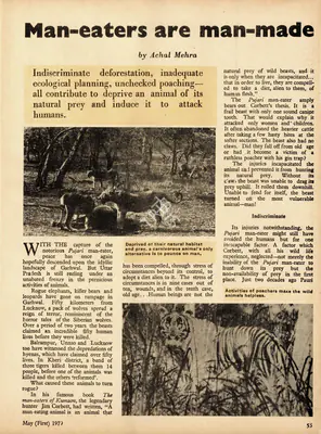Achal Mehra (Essayist), Man-Eaters are Man-Made, 1979, Essay