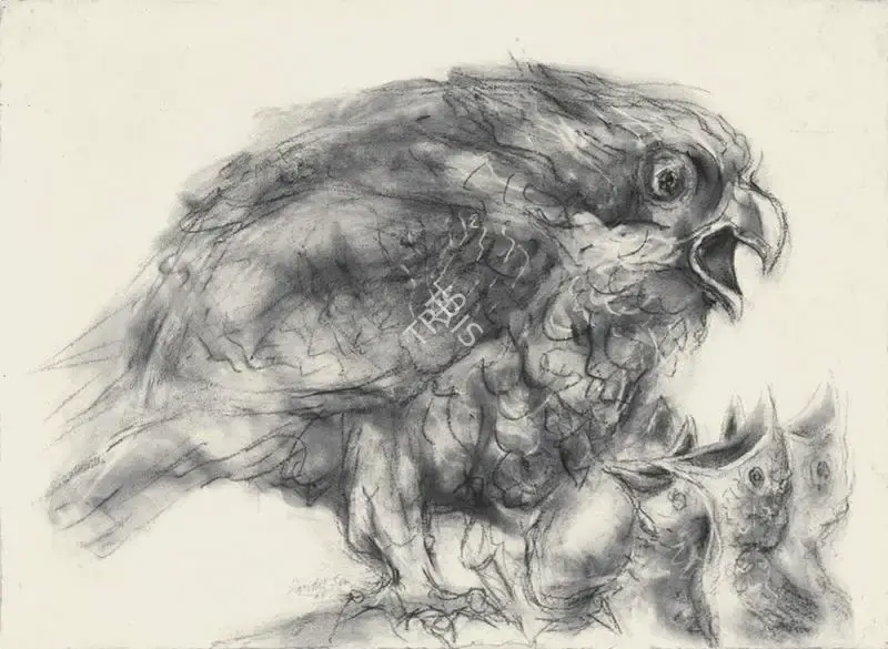 Paritosh Sen (Artist), Birds, 1988, Drawing