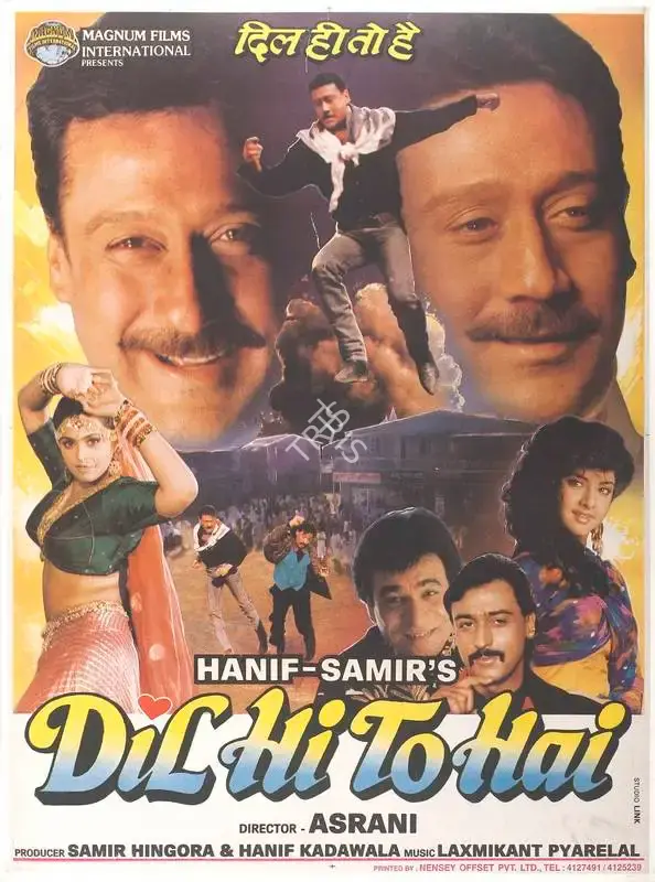 Samir Hingora (Producer), Dil Hi To Hai, 1993, Full Sheet Poster