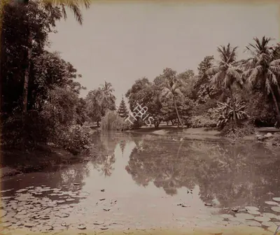Samuel Bourne (Photographer), View in Eden Gardens. Calcutta, 1866, Antiquarian Photograph