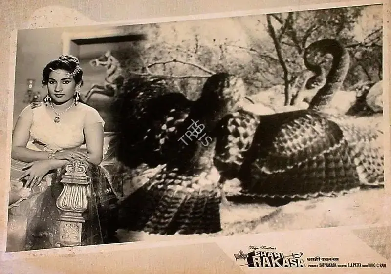 Sat Prakash (Producer), Shahi Rakasa, 1965, Lobby Card