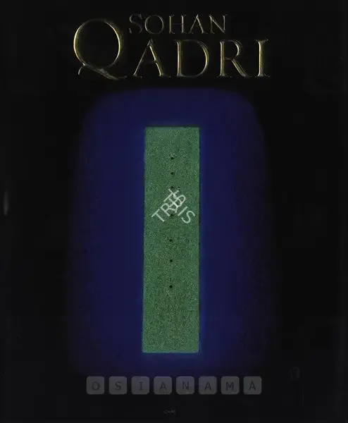Virendra Kumar Jain (Author), Sohan Qadri, 2011, Authored Book