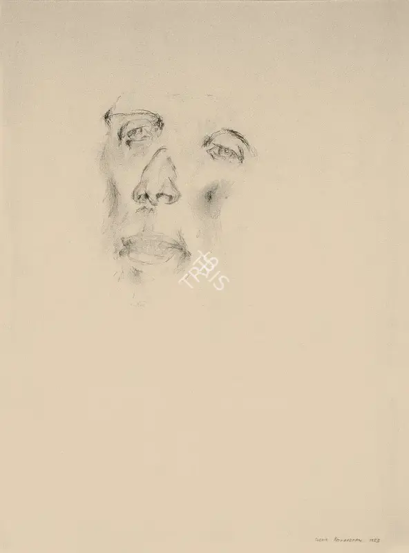 Sudhir Patwardhan (Artist), The Portrait, 1983, Drawing