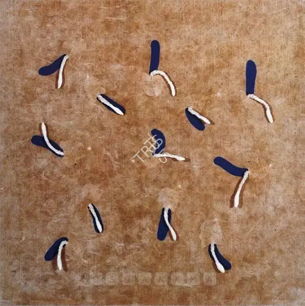 Manisha Parekh (Artist), Field 3, 2002, Painting