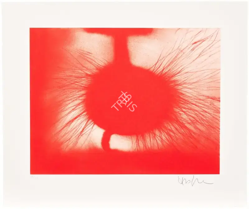 Anish Kapoor (Artist), Untitled, 2014, Graphic Art