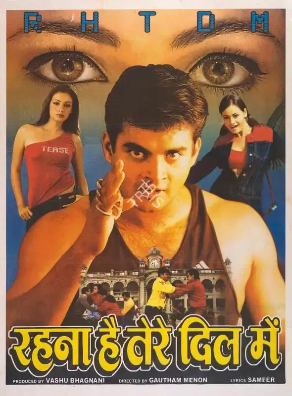 Vashu Bhagnani (Producer), Rehnaa Hai Terre Dil Mein, 2001, Full Sheet Poster