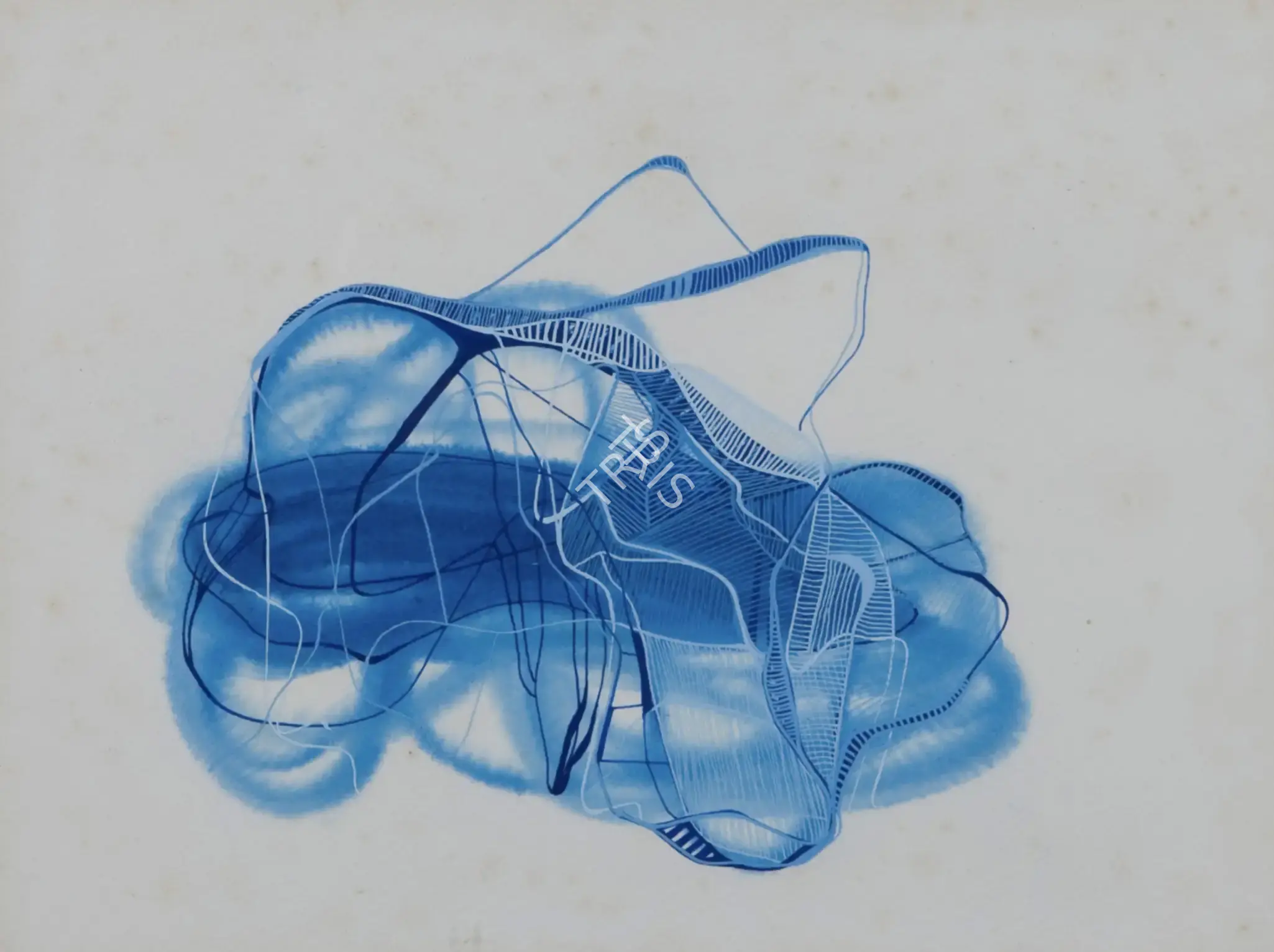 Sheila Makhijani (Artist), What's The Big Deal, Painting