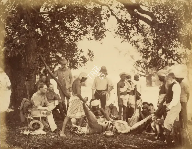 Willoughby Wallace Hooper (Photographer), Tiger Hunt, 1878, Antiquarian Photograph