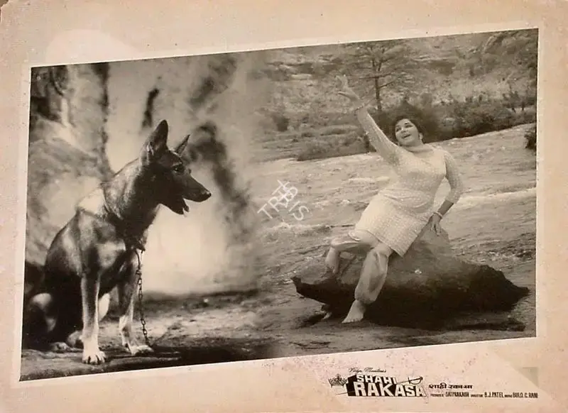 Sat Prakash (Producer), Shahi Rakasa, 1965, Lobby Card