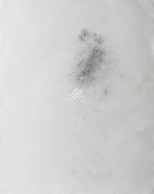 Neerja Kothari (Artist), Gathering Evidence on One’s Trace (5900), 2013, Painting