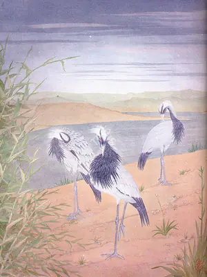 Mazhar Noon (Artist), Demoiselle Cranes, 1998, Painting