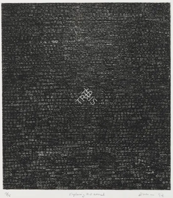 Zarina Hashmi (Artist), Exploring the wreck, 1992, Graphic Art