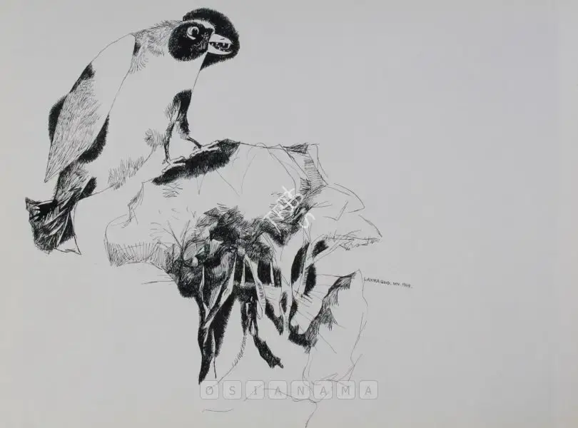 K. Laxma Goud (Artist), An Album Of Twenty-Two Pen And Ink Sketches, 1974, Painting