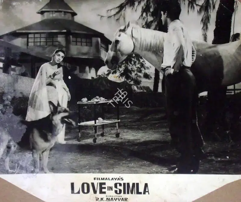 Love In Simla, Playback Singer, 1960