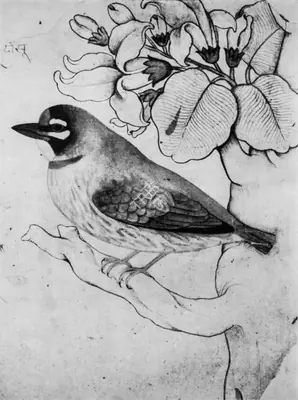 Unknown (Artist), Bird, 1900, Painting
