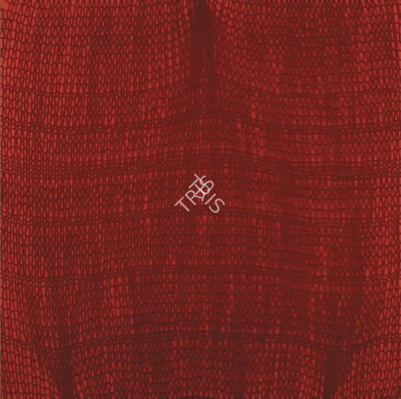 Shobha Broota (Artist), Untitled, 2016, Painting