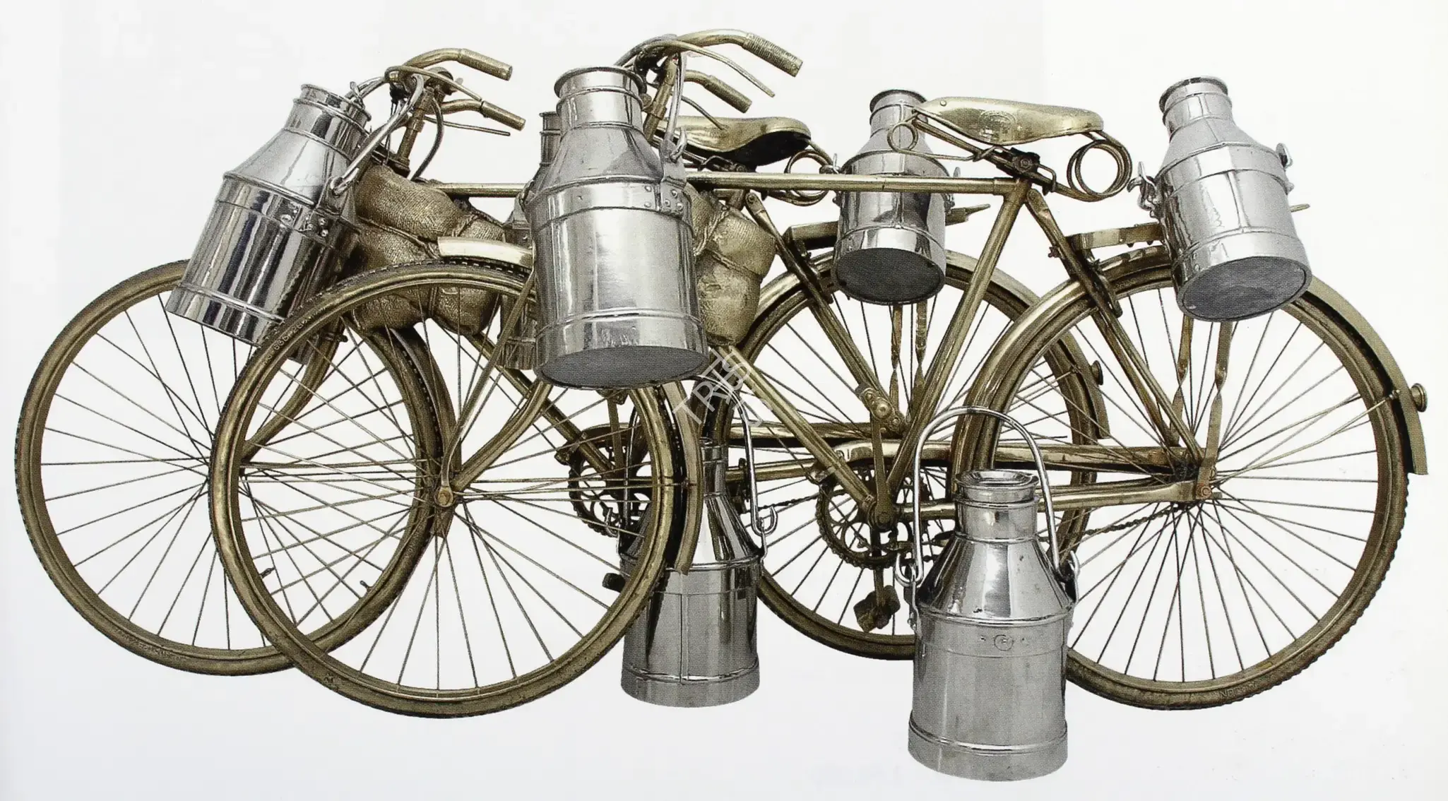 Subodh Gupta (Artist), Two Cows, 2005, Sculpture