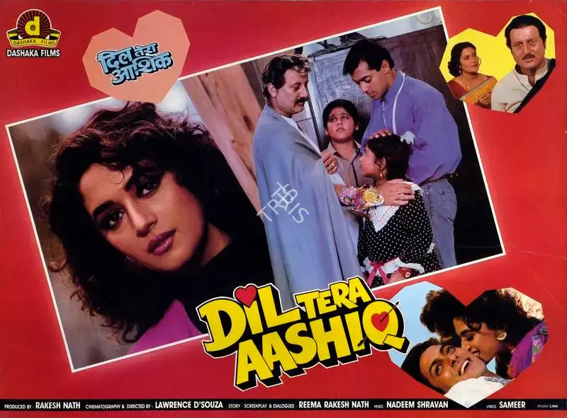 Dil Tera Aashiq, Actor, 1993