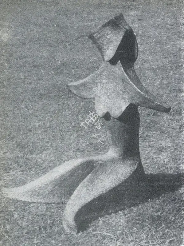Amar Sehgal (Artist), Toilet, 1959, Sculpture