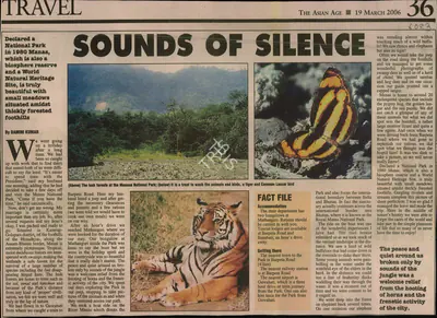 Damini Kumar (Reporter), Sounds of Silence, 2006, Newspaper Clipping