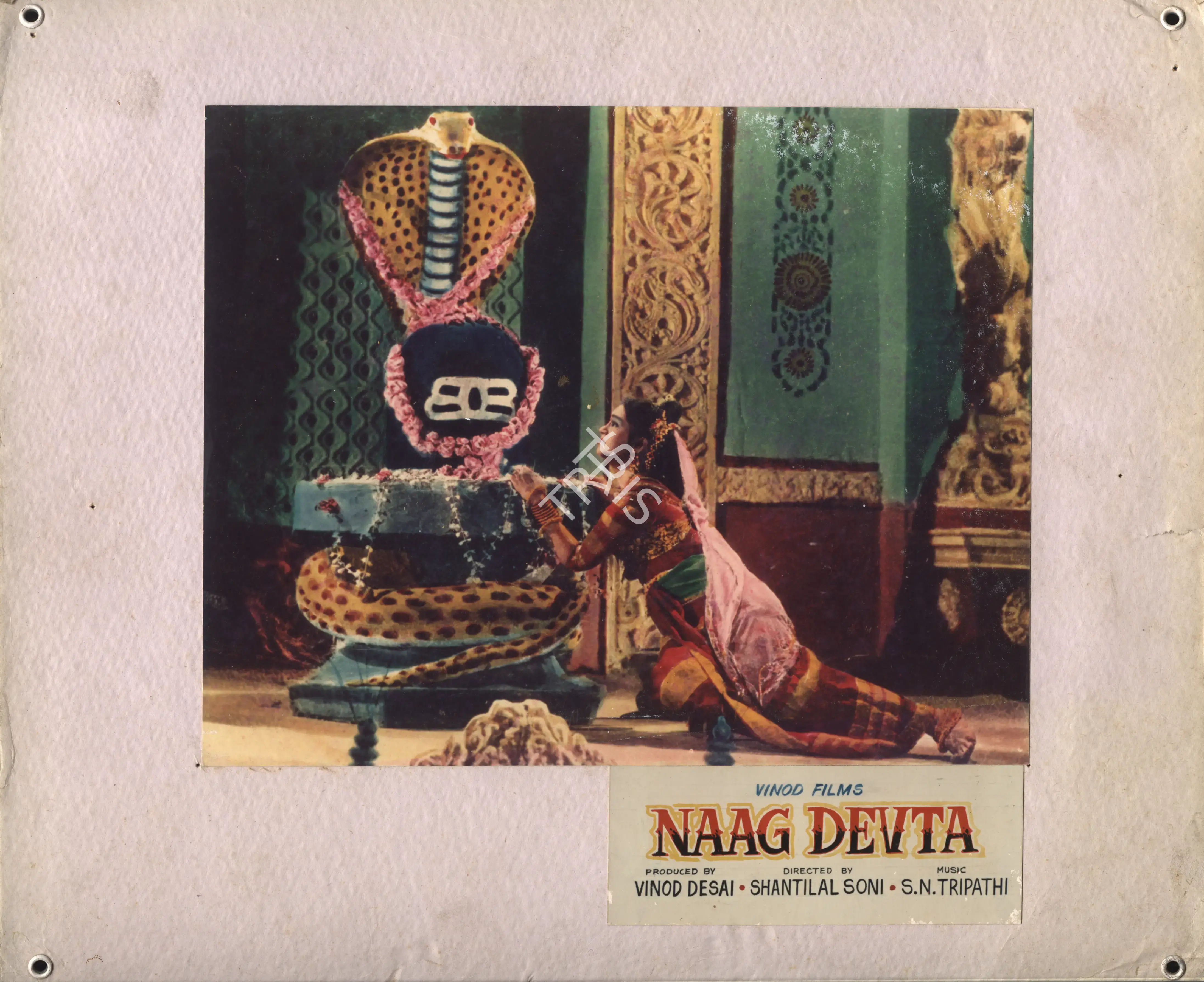 Vinod Desai (Producer), Naag Devta, 1962, Photographic Still Mounted on Lobby Card