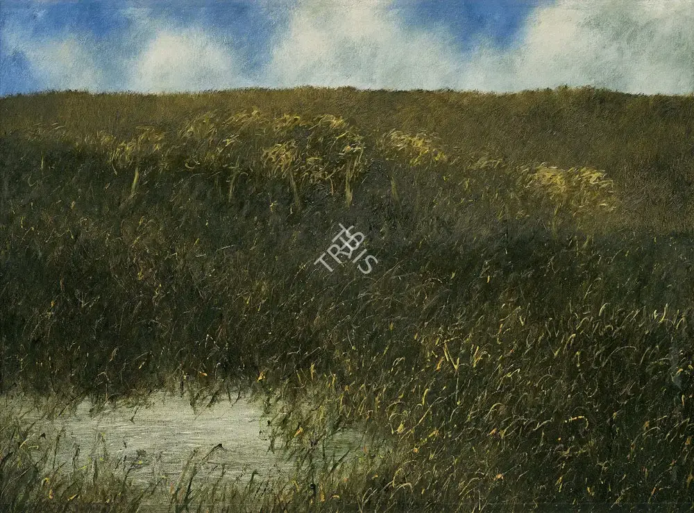 Paramjit Singh (Artist), The Pool Near The Hill, 1986, Painting