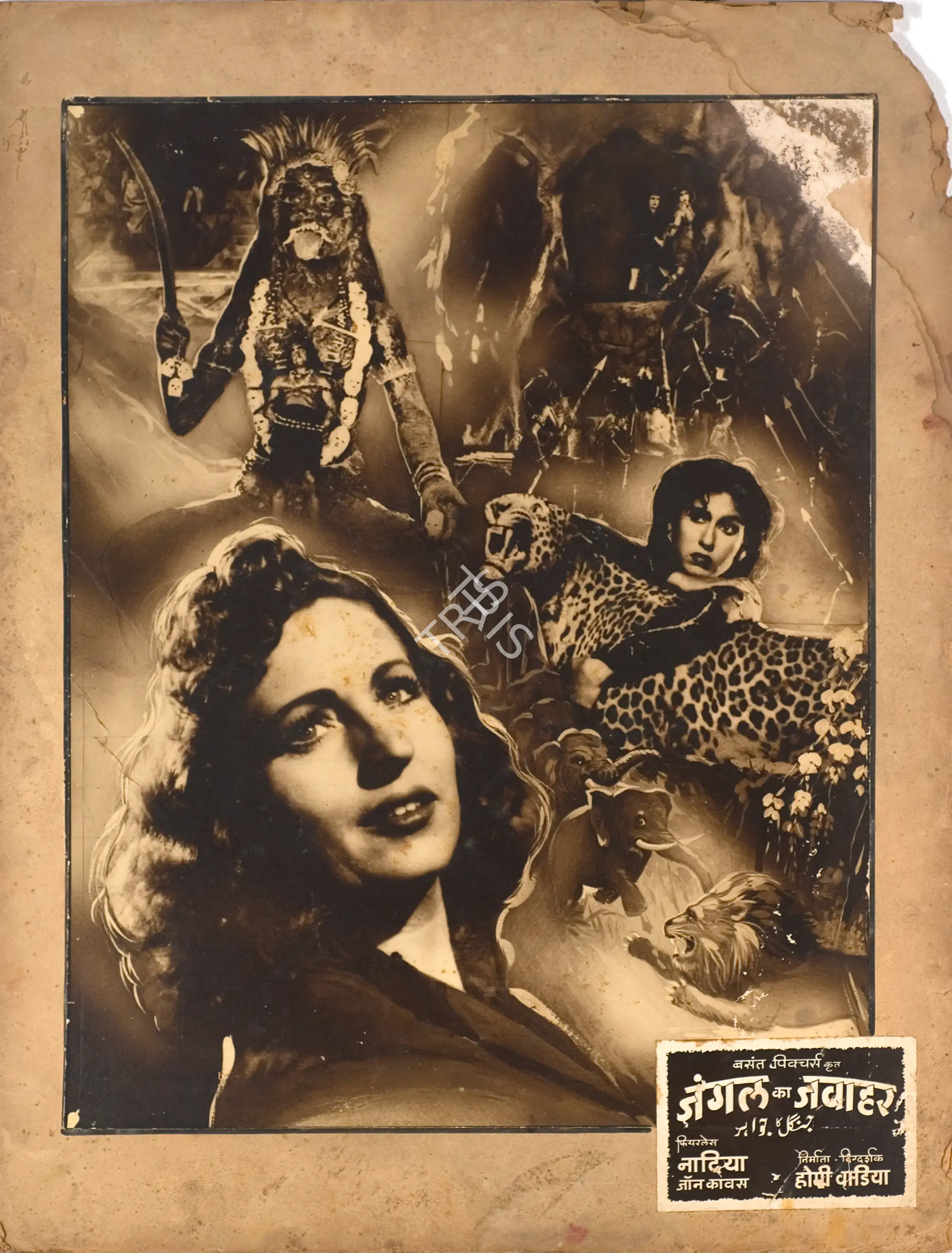 Homi Wadia (Producer), Jungle Ka Jawahar, 1952, Photographic Still Mounted on Lobby Card