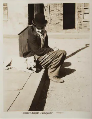 Roland Totheroh (Cinematographer), A Dog's Life, 1918, Photographic Still
