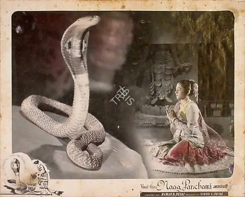 Raman B. Desai (Director), Naag Panchami, 1953, Lobby Card
