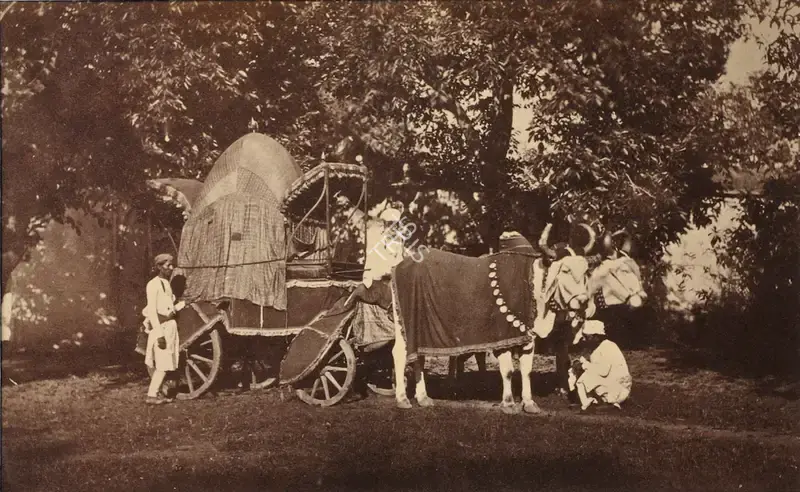 Eugene Clutterbuck Impey (Photographer), The Carriage of a Native Lady of Rank, Rajasthan, Antiquarian Photograph